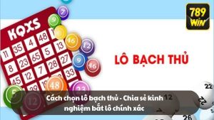 Cách chọn lô bạch thủ - Chia sẻ kinh nghiệm bắt lô